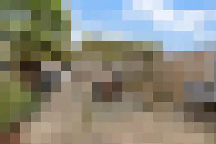 Hofvijver 92 Oss thumbnail 39