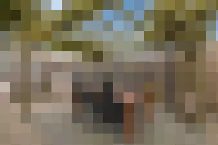 Hofvijver 92 Oss thumbnail 41