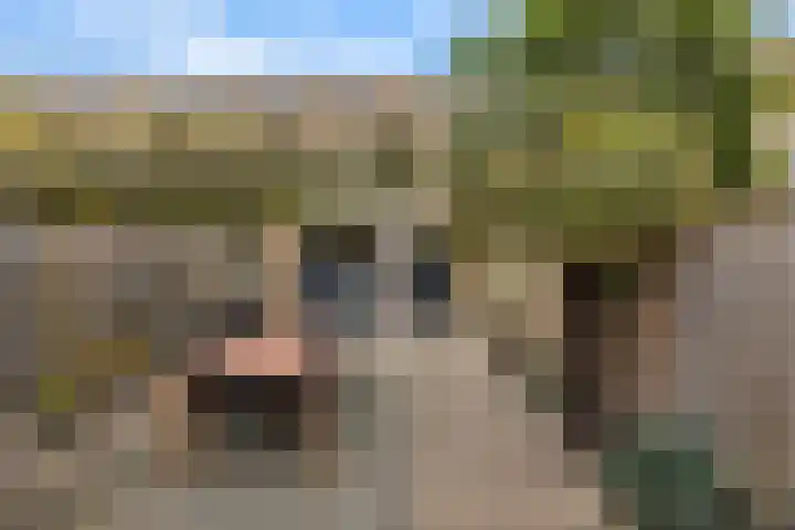 Hofvijver 92 Oss thumbnail 42