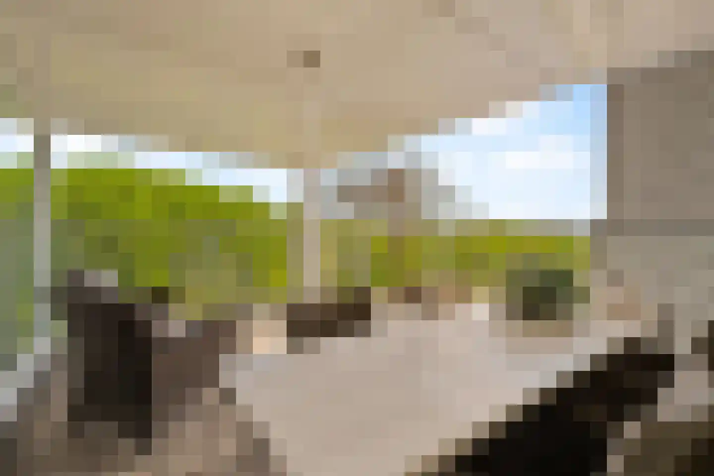 Hofvliet 29 Voorschoten thumbnail 11