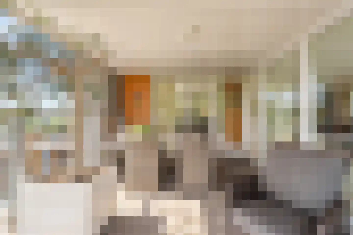 Hofvliet 29 Voorschoten thumbnail 13