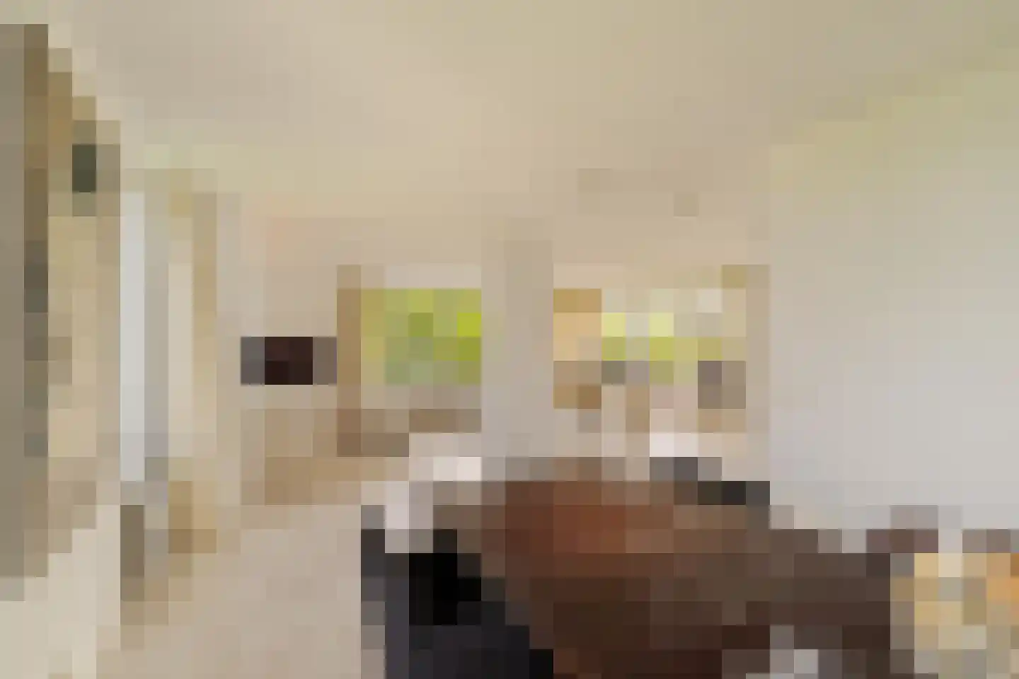 Hofvliet 29 Voorschoten thumbnail 17