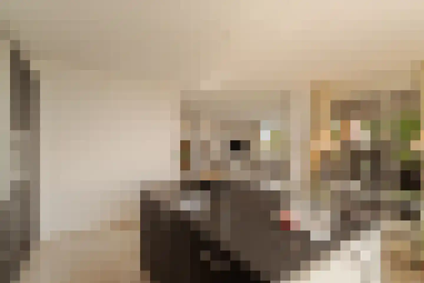 Hofvliet 29 Voorschoten thumbnail 20