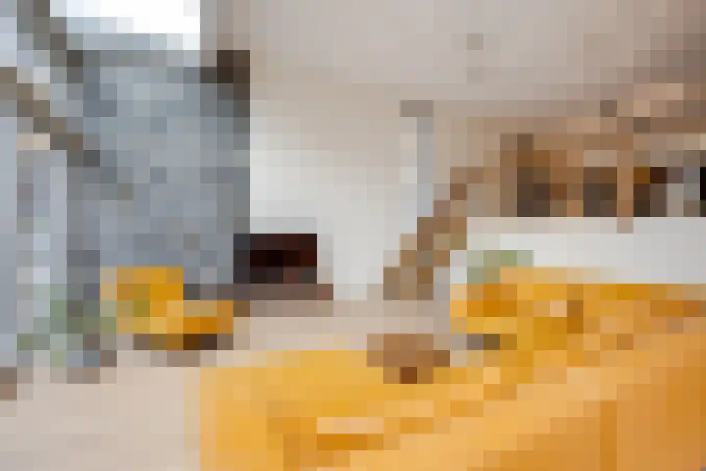 Hofvliet 77 Voorschoten thumbnail 19