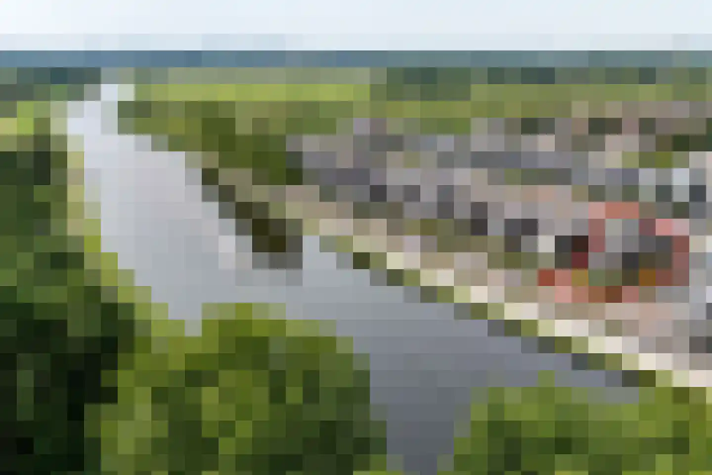Hofvliet 77 Voorschoten thumbnail 4