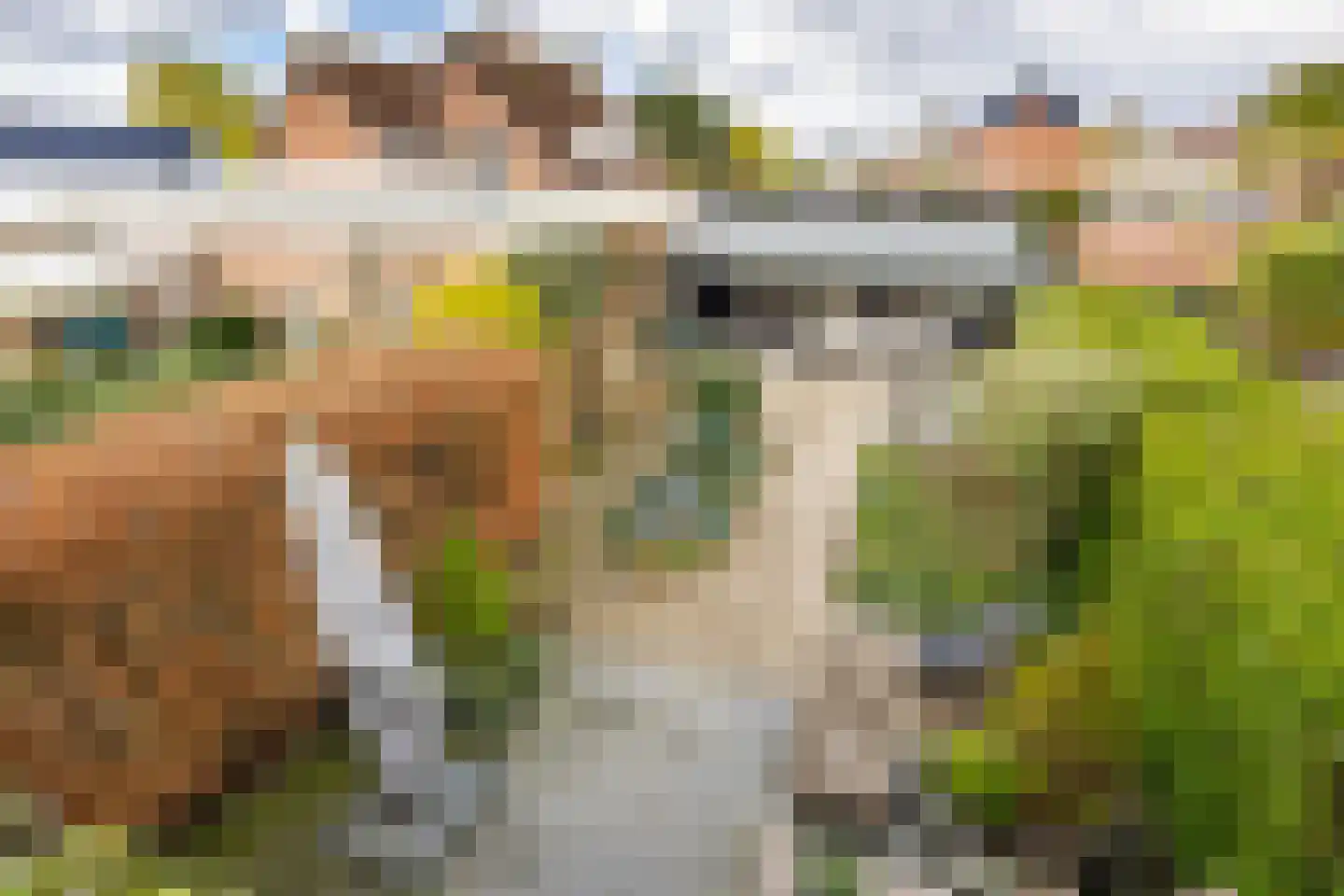 Hofweerstraat 4 Hardinxveld-Giessendam thumbnail 19