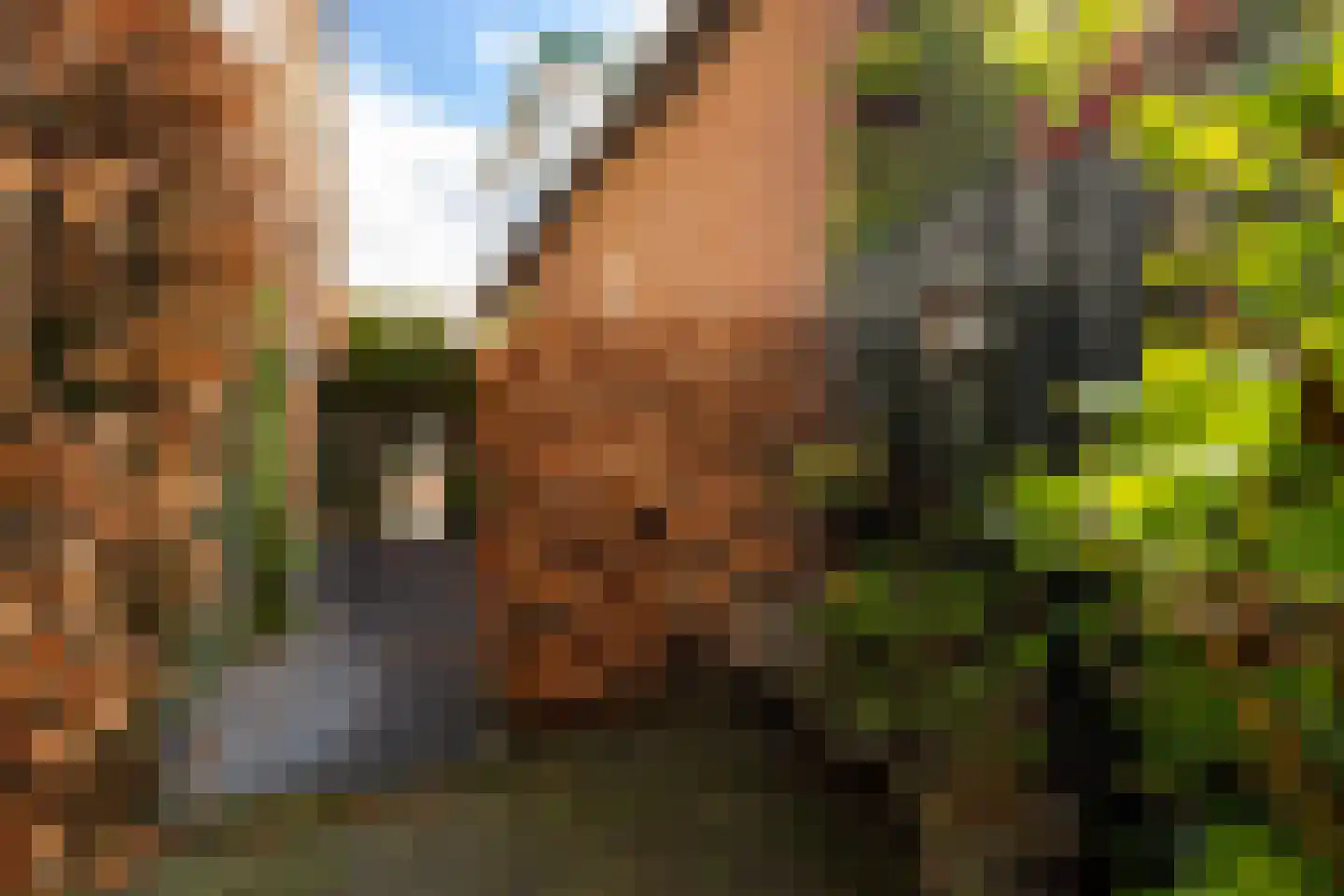 Hofweerstraat 4 Hardinxveld-Giessendam thumbnail 26