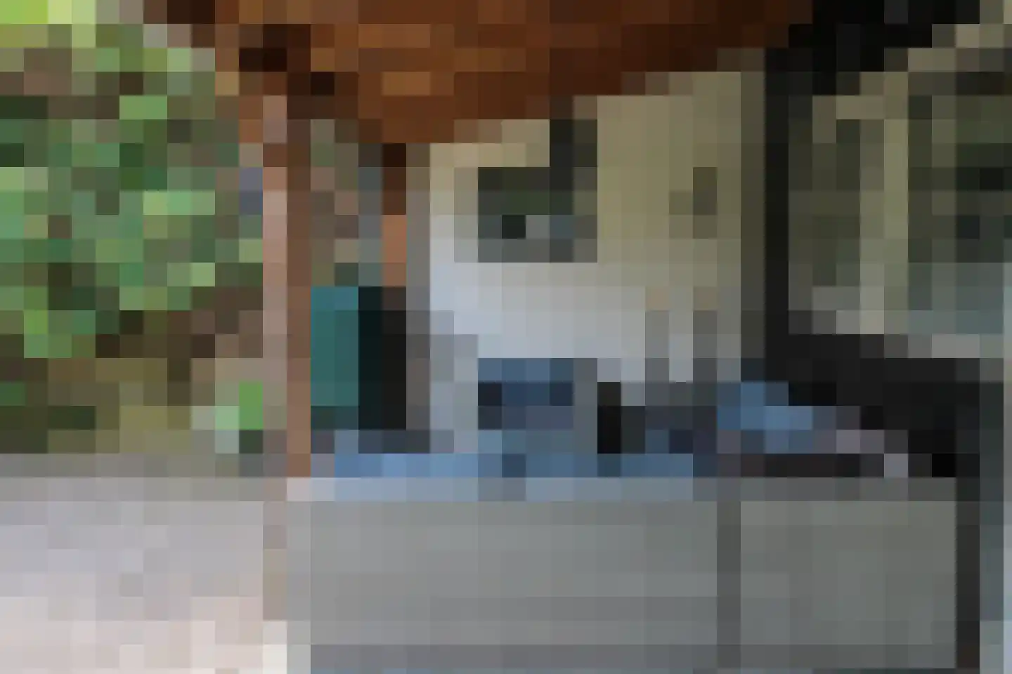 Hofweerstraat 4 Hardinxveld-Giessendam thumbnail 31