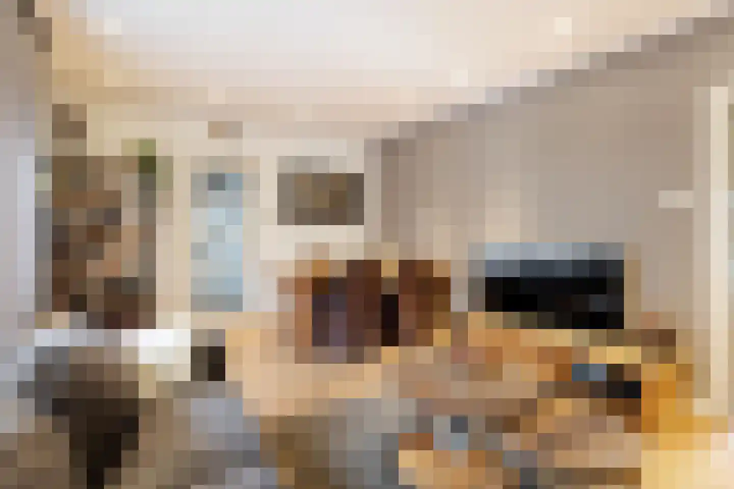 Hofweerstraat 4 Hardinxveld-Giessendam thumbnail 5
