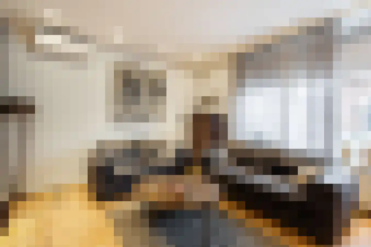 Hofweerstraat 4 Hardinxveld-Giessendam thumbnail 6