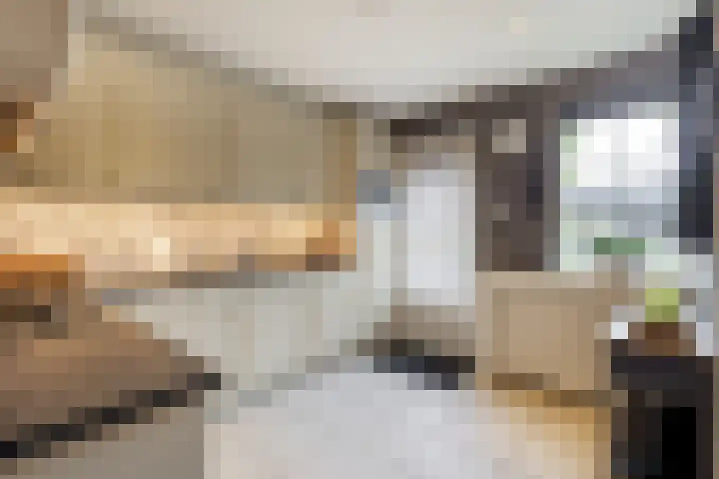 Hofweerstraat 4 Hardinxveld-Giessendam thumbnail 7