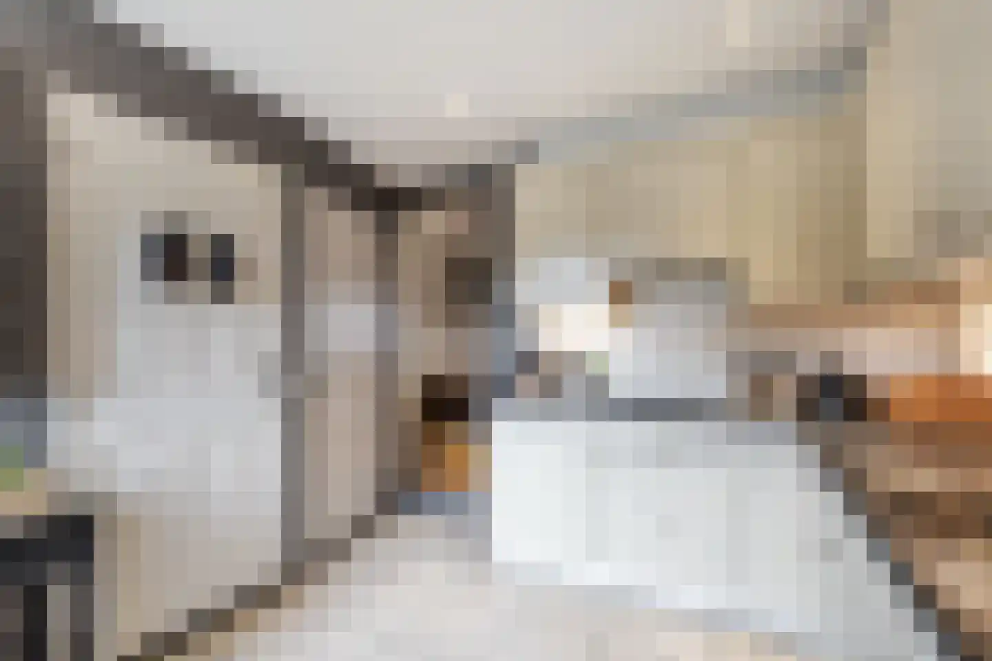 Hofweerstraat 4 Hardinxveld-Giessendam thumbnail 8