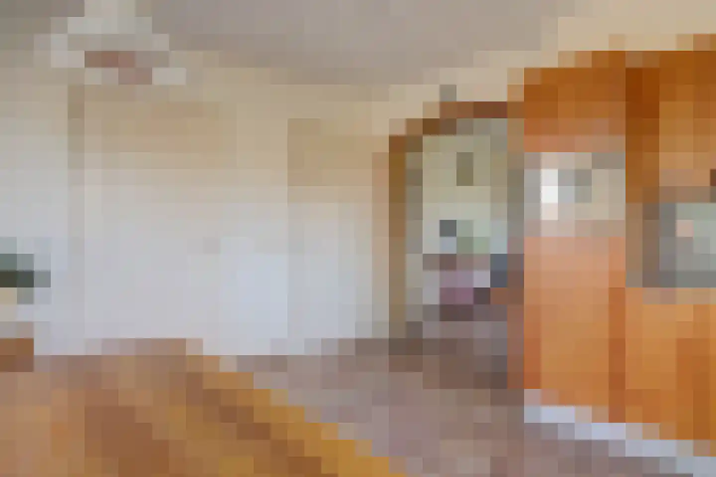 Hofweg 1 Nootdorp thumbnail 31