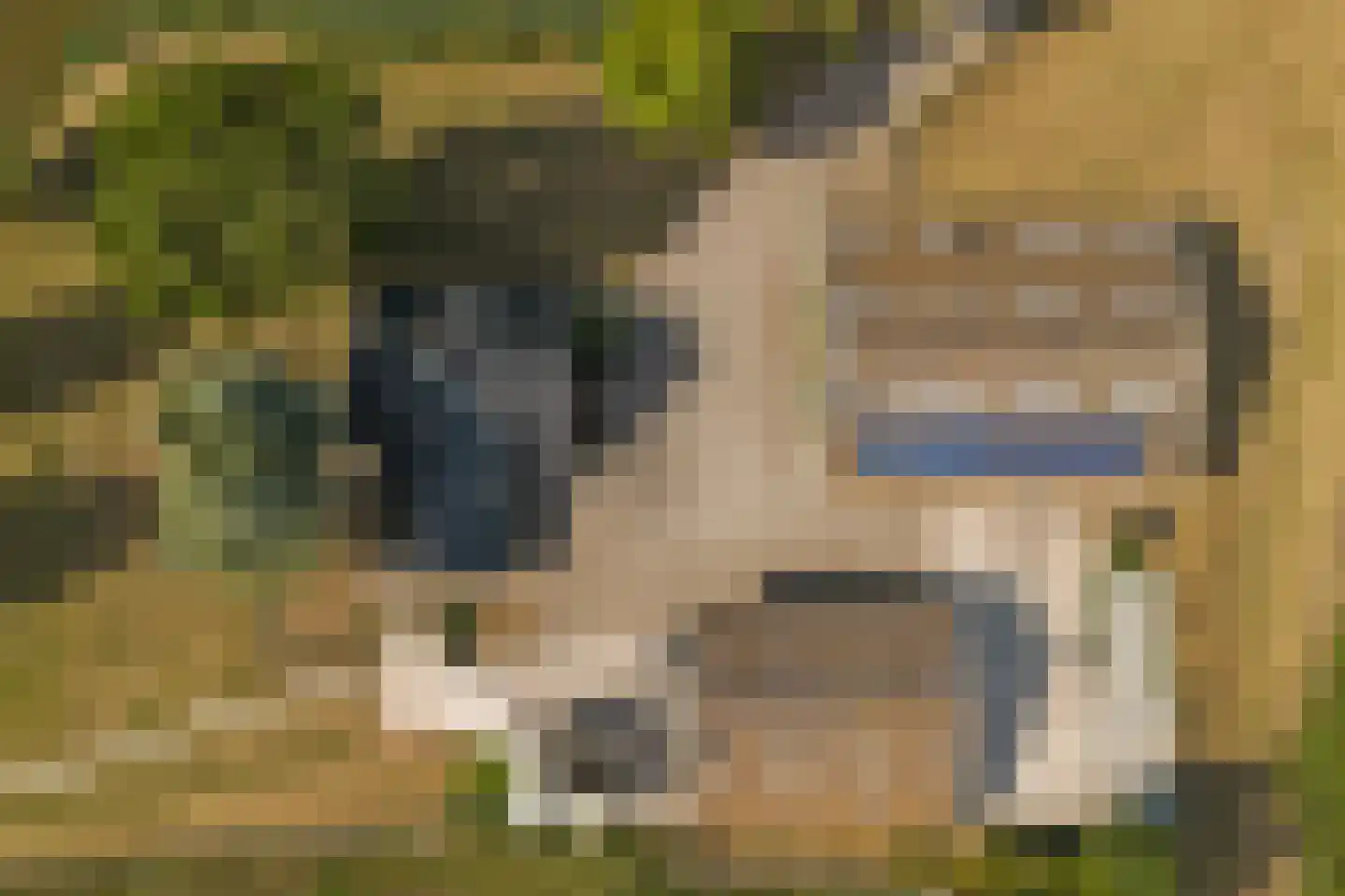 Hofweg 1 Nootdorp thumbnail 5