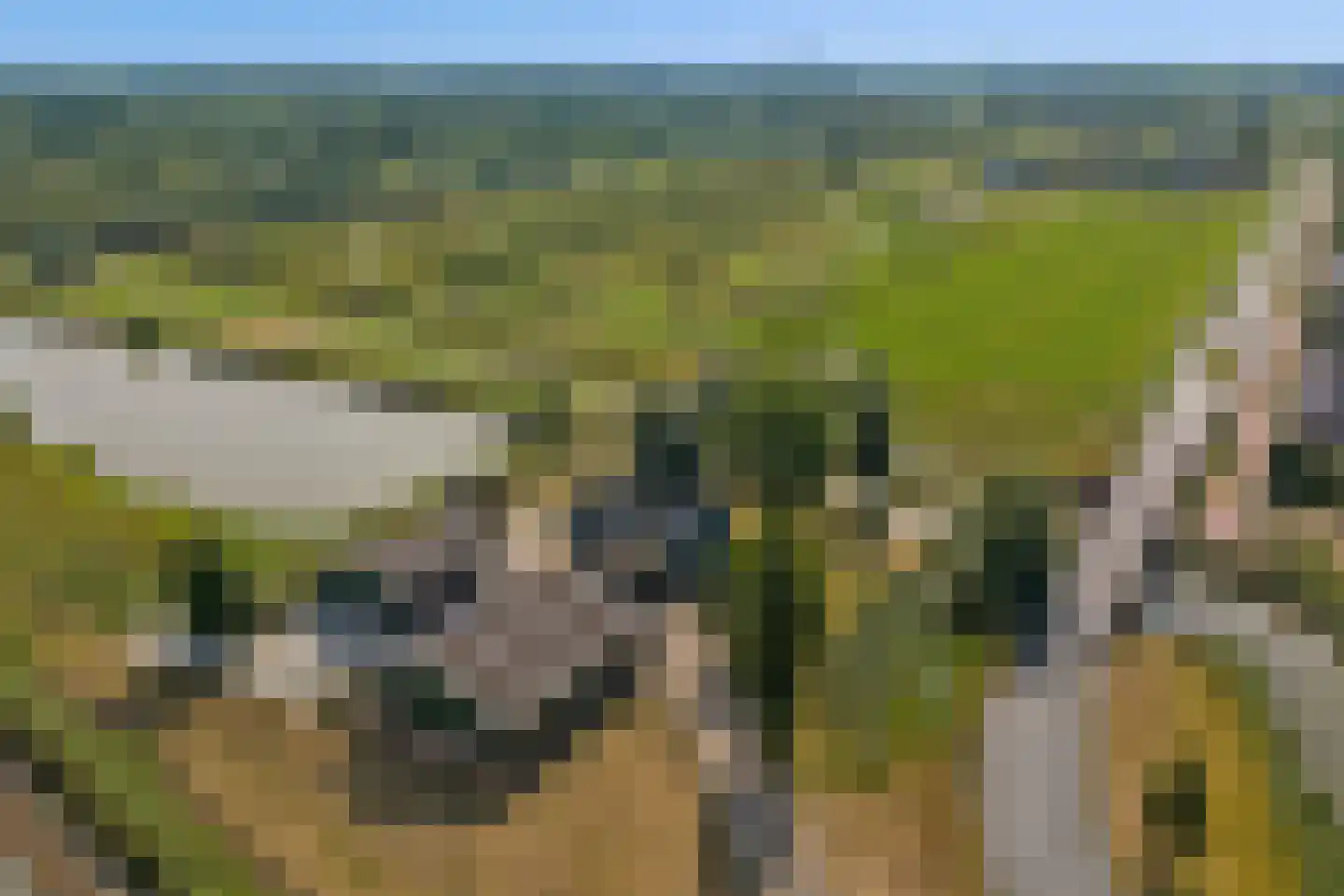 Hofweg 1 Nootdorp thumbnail 6