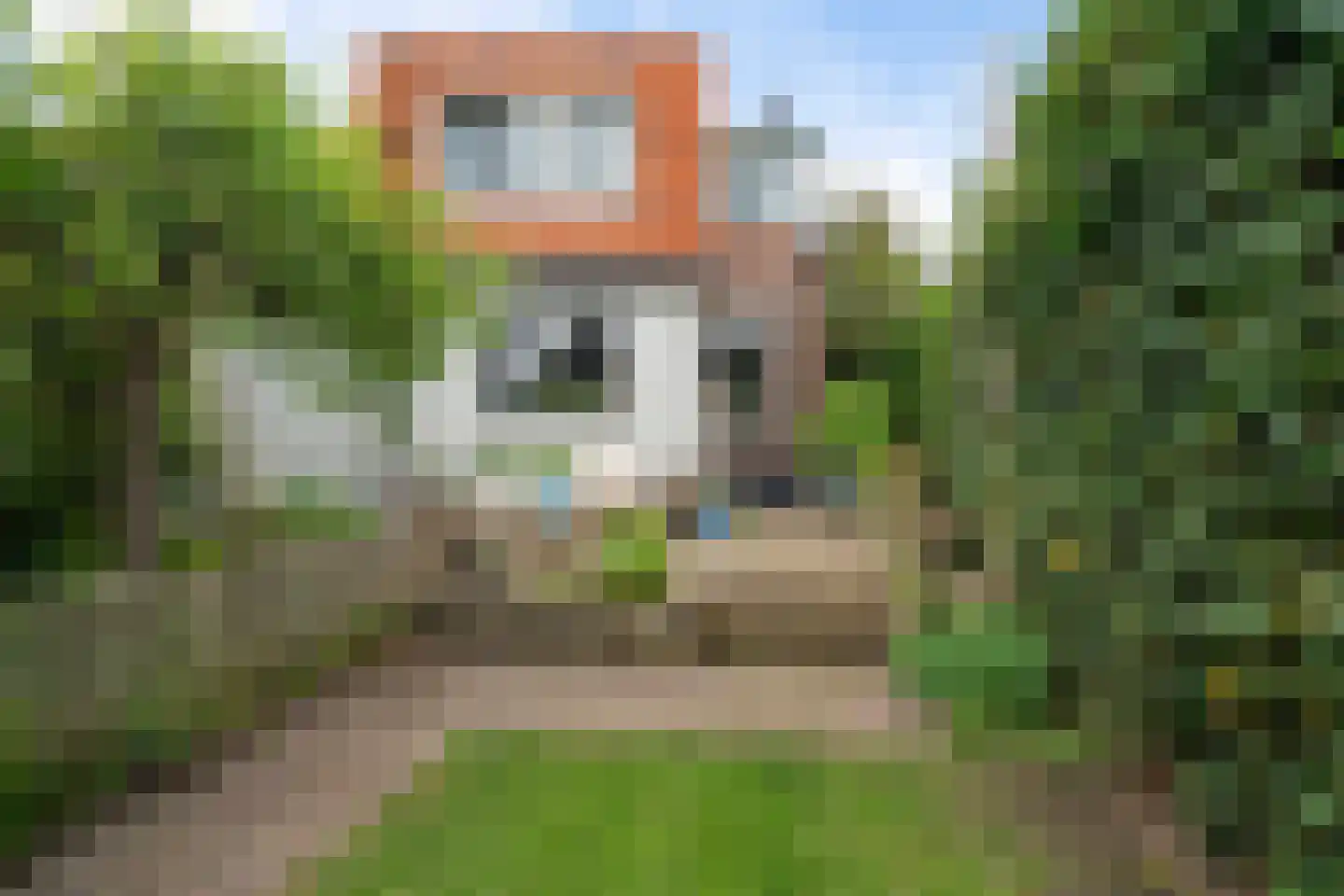 Hofweg 14 Warnsveld thumbnail 34
