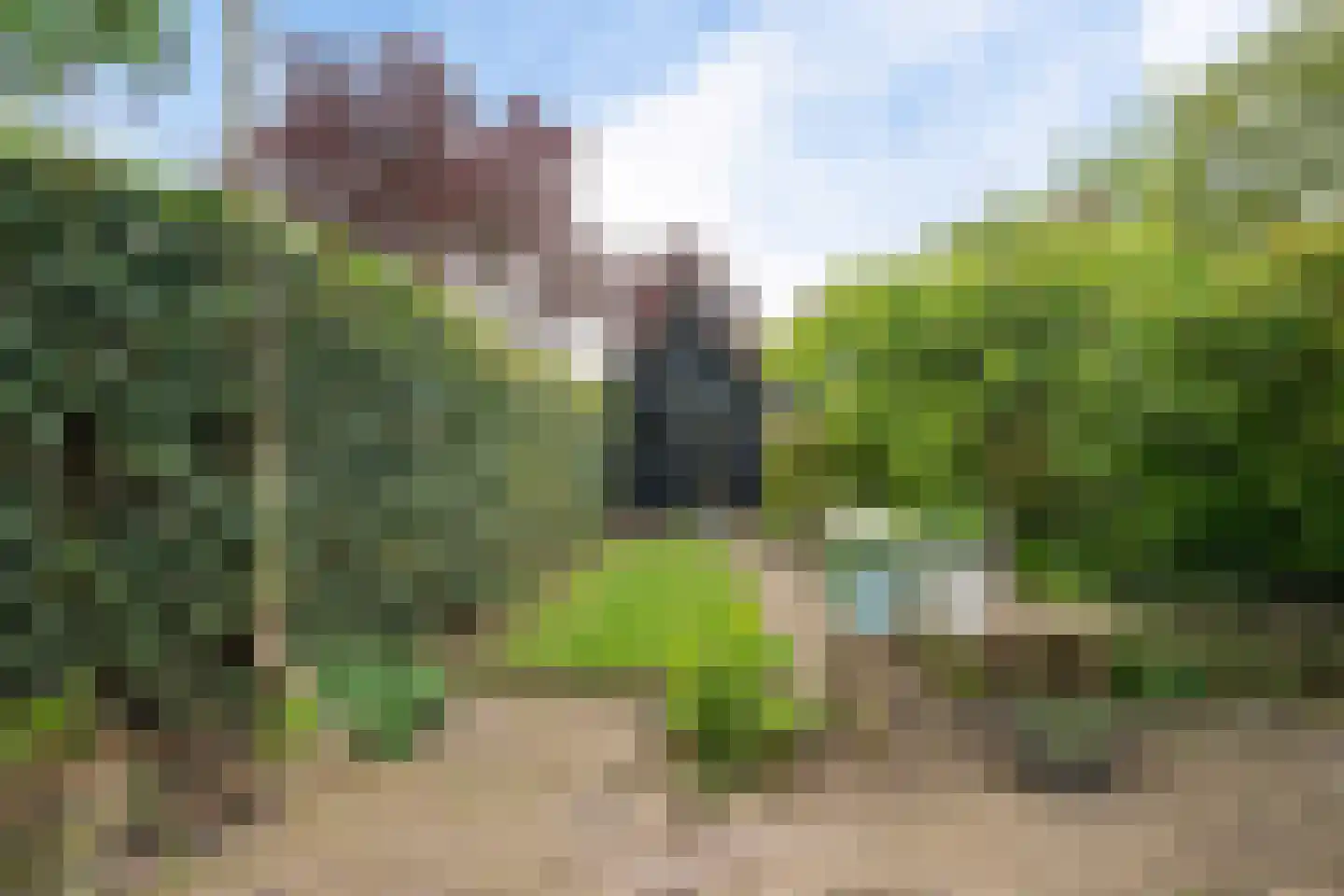 Hofweg 14 Warnsveld thumbnail 36
