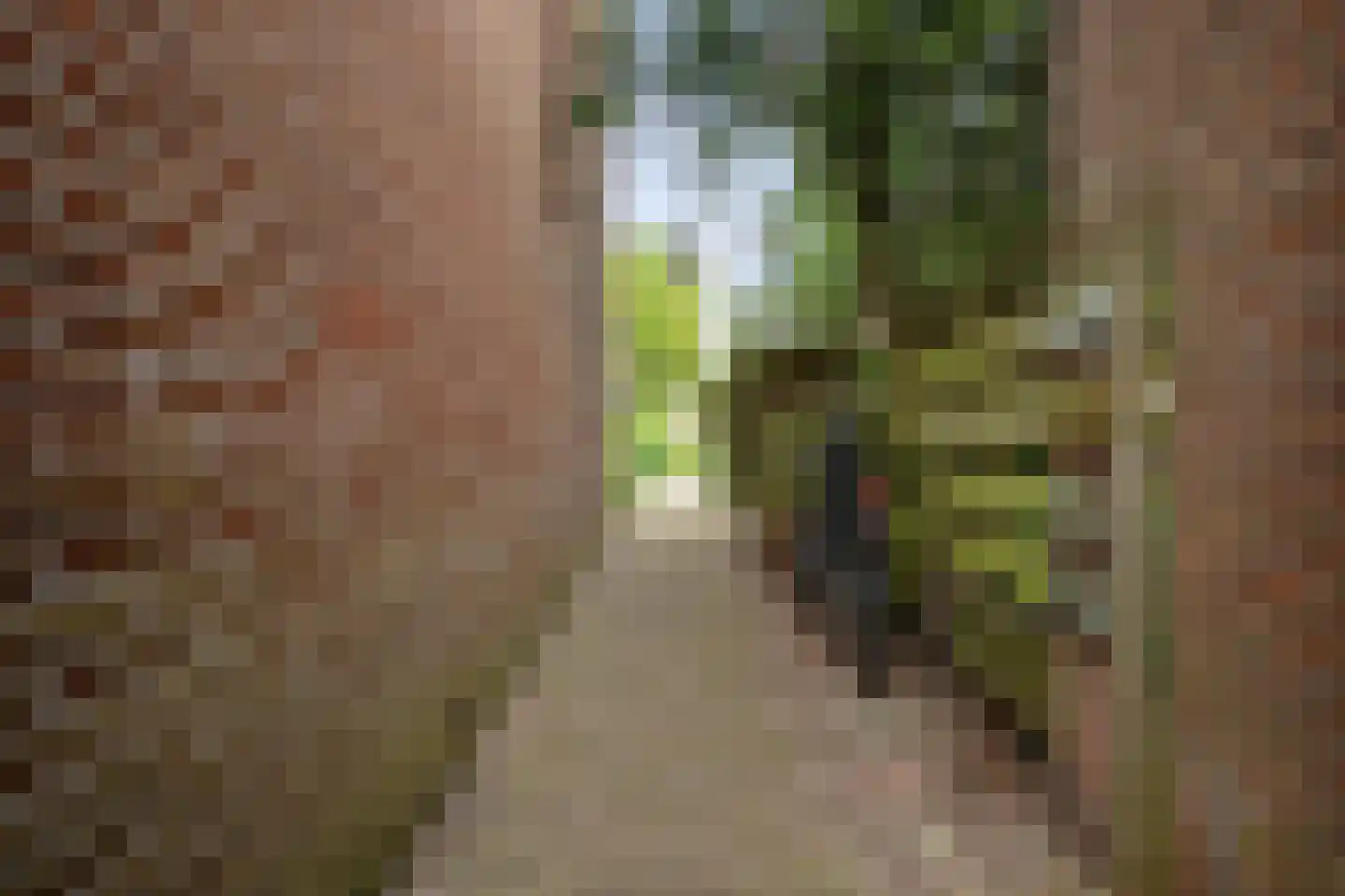 Hofweg 14 Warnsveld thumbnail 38