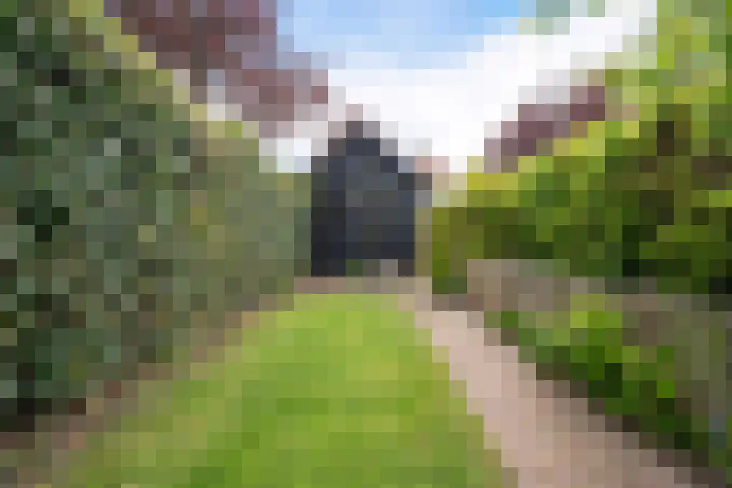 Hofweg 14 Warnsveld thumbnail 39