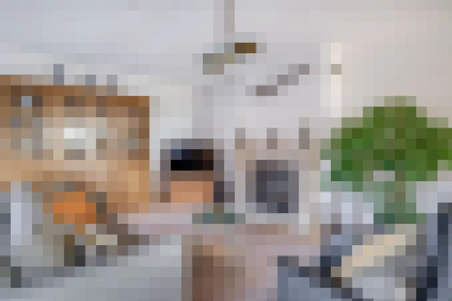 Hofweg 20 Nootdorp thumbnail 5
