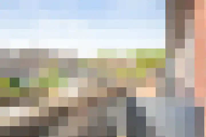 Hofweg 22 Hardenberg thumbnail 25