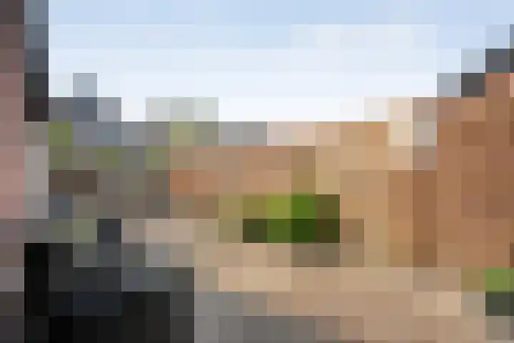 Hofweg 22 Hardenberg thumbnail 30