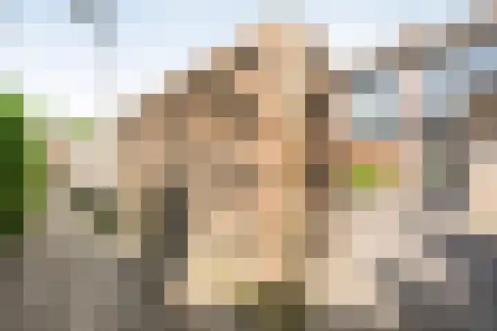 Hofweg 22 Hardenberg thumbnail 34