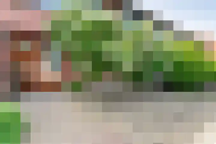 Hofweg 22 Hardenberg thumbnail 4