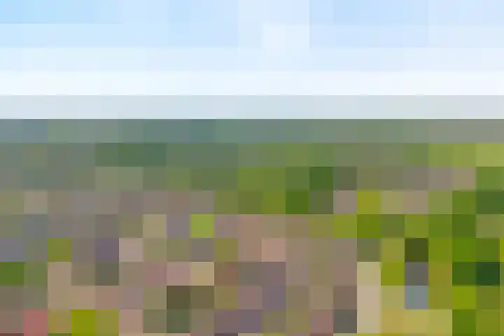 Hofweg 22 Hardenberg thumbnail 41