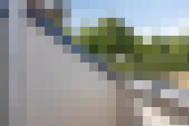 Hofweg 25 America thumbnail 39
