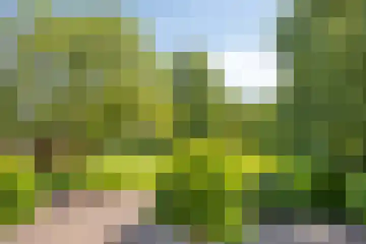 Hofweg 25 America thumbnail 44