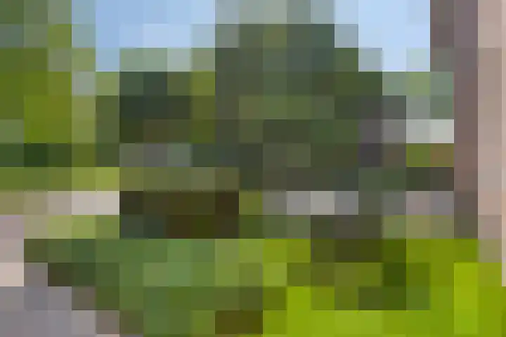 Hofweg 25 America thumbnail 45