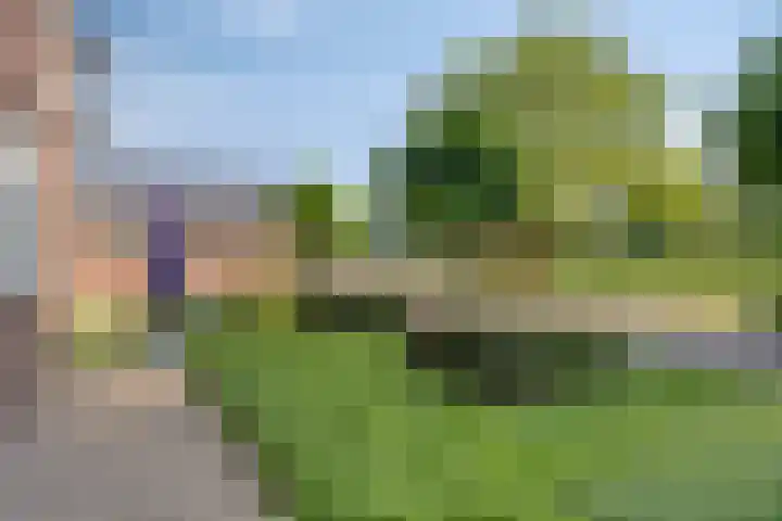 Hofweg 25 America thumbnail 46
