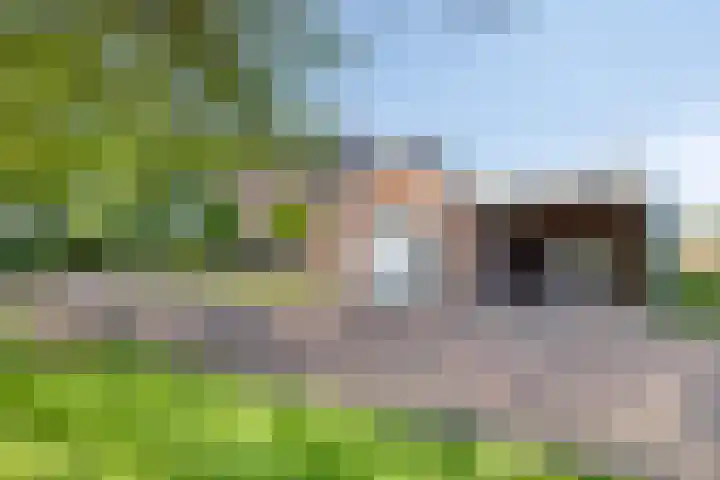 Hofweg 25 America thumbnail 52