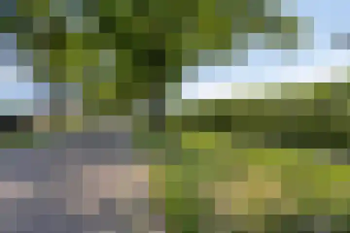 Hofweg 25 America thumbnail 56