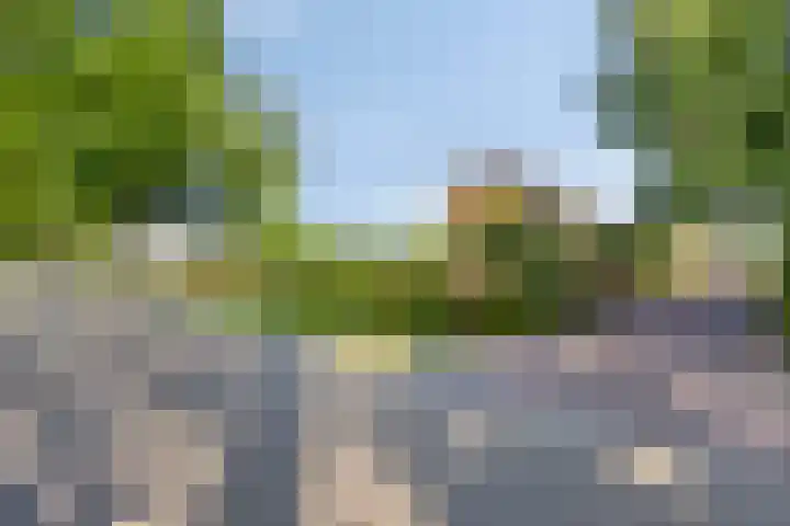 Hofweg 25 America thumbnail 59