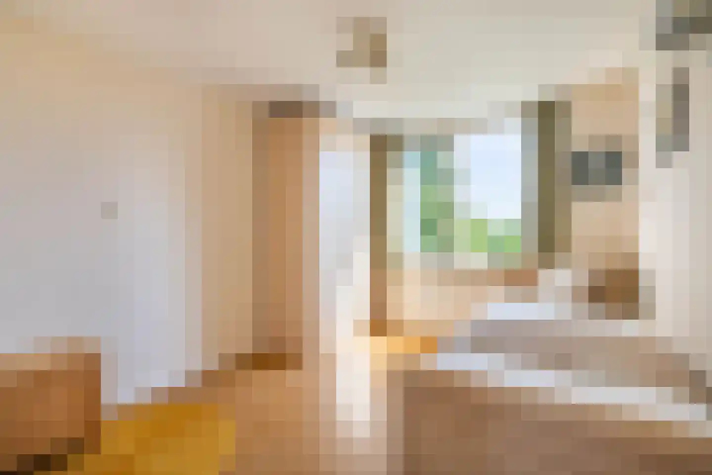 Hofweg 3 A Ilpendam thumbnail 32