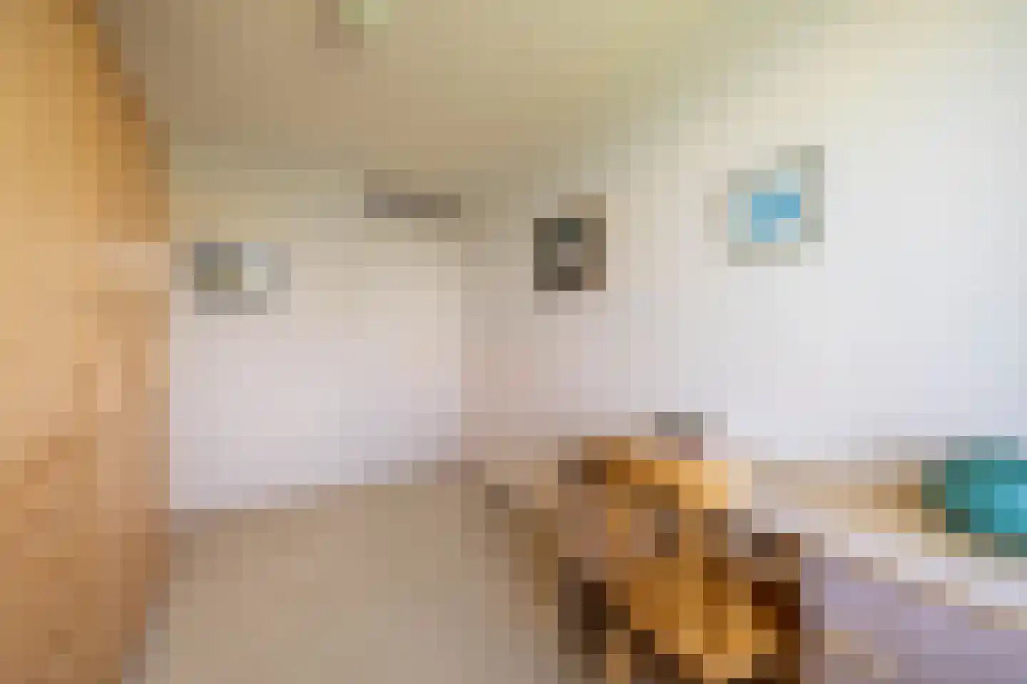Hofweg 3 A Ilpendam thumbnail 35