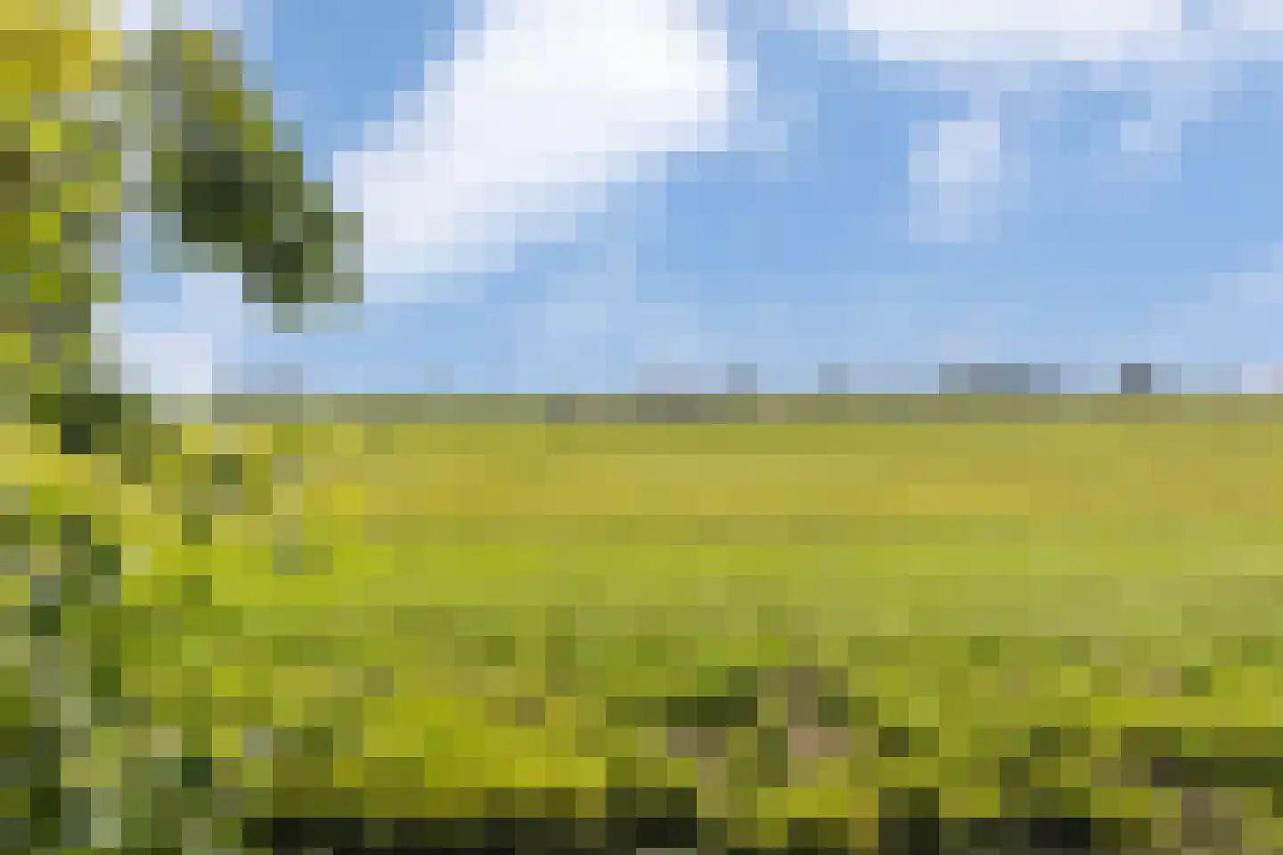 Hofweg 3 A Ilpendam thumbnail 44