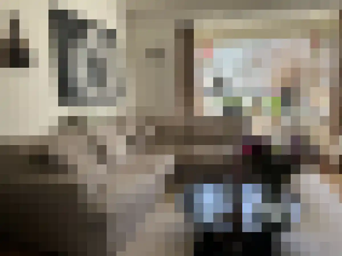 Hofweg 31 Voorschoten thumbnail 4