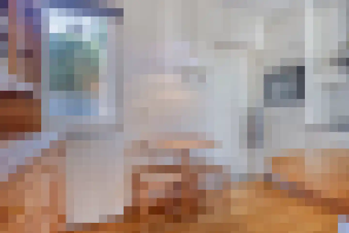 Hofweg 6 Beek en Donk thumbnail 15