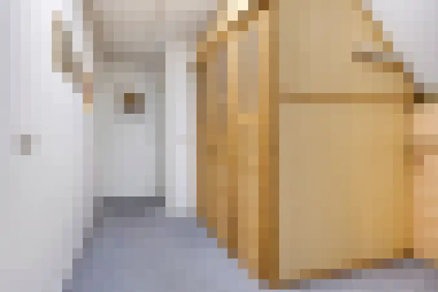 Hofweg 6 Beek en Donk thumbnail 31