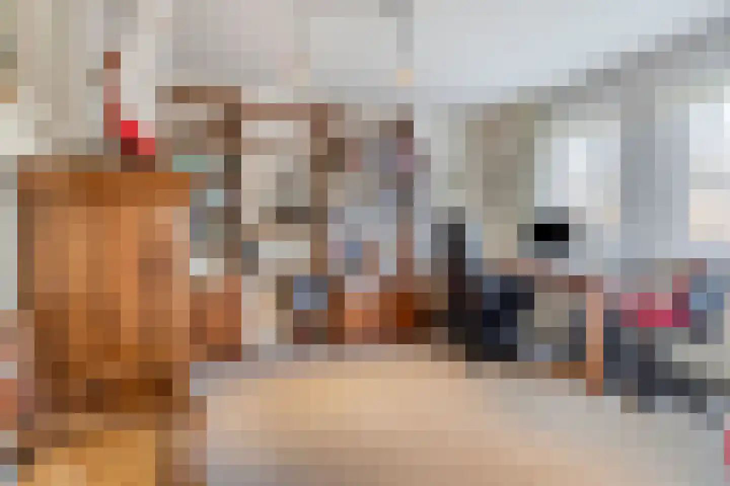 Hofweg 6 Beek en Donk thumbnail 8