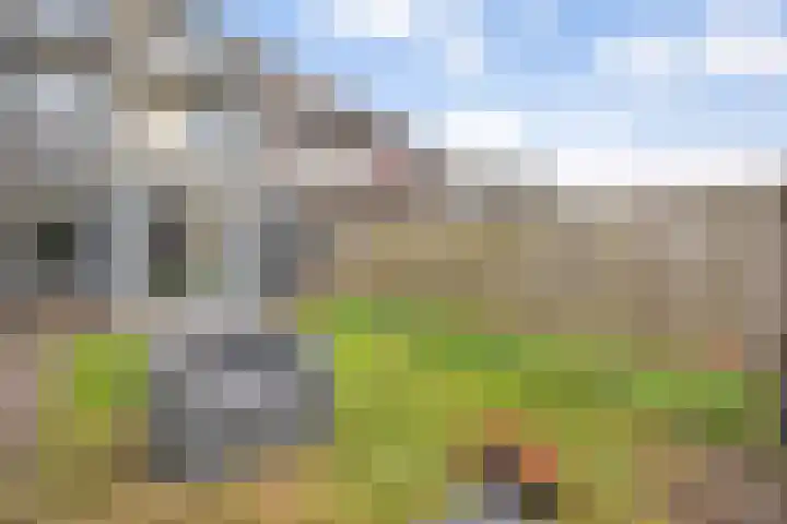 Hofweg 77 Hardenberg thumbnail 35