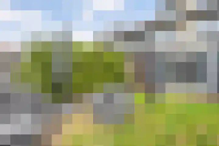 Hofweg 77 Hardenberg thumbnail 36