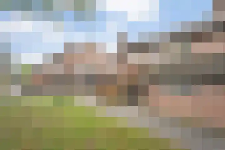 Hofweg 77 Hardenberg thumbnail 40