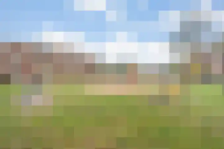 Hofweg 77 Hardenberg thumbnail 41