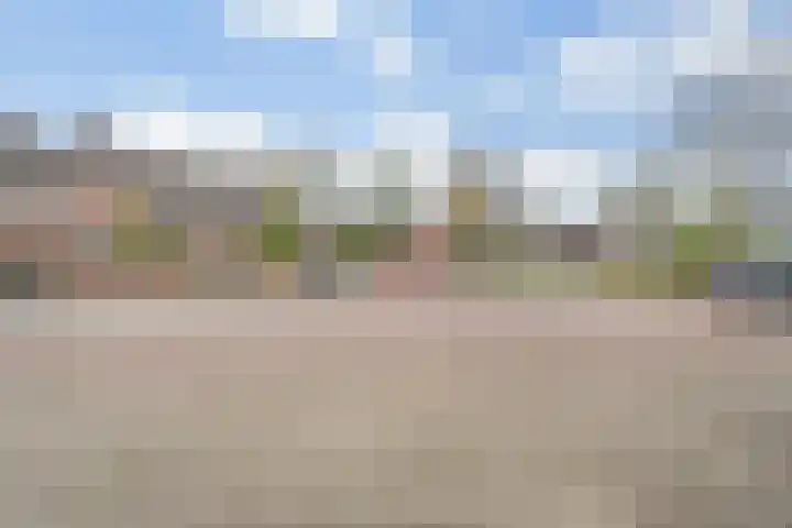Hofweg 77 Hardenberg thumbnail 42