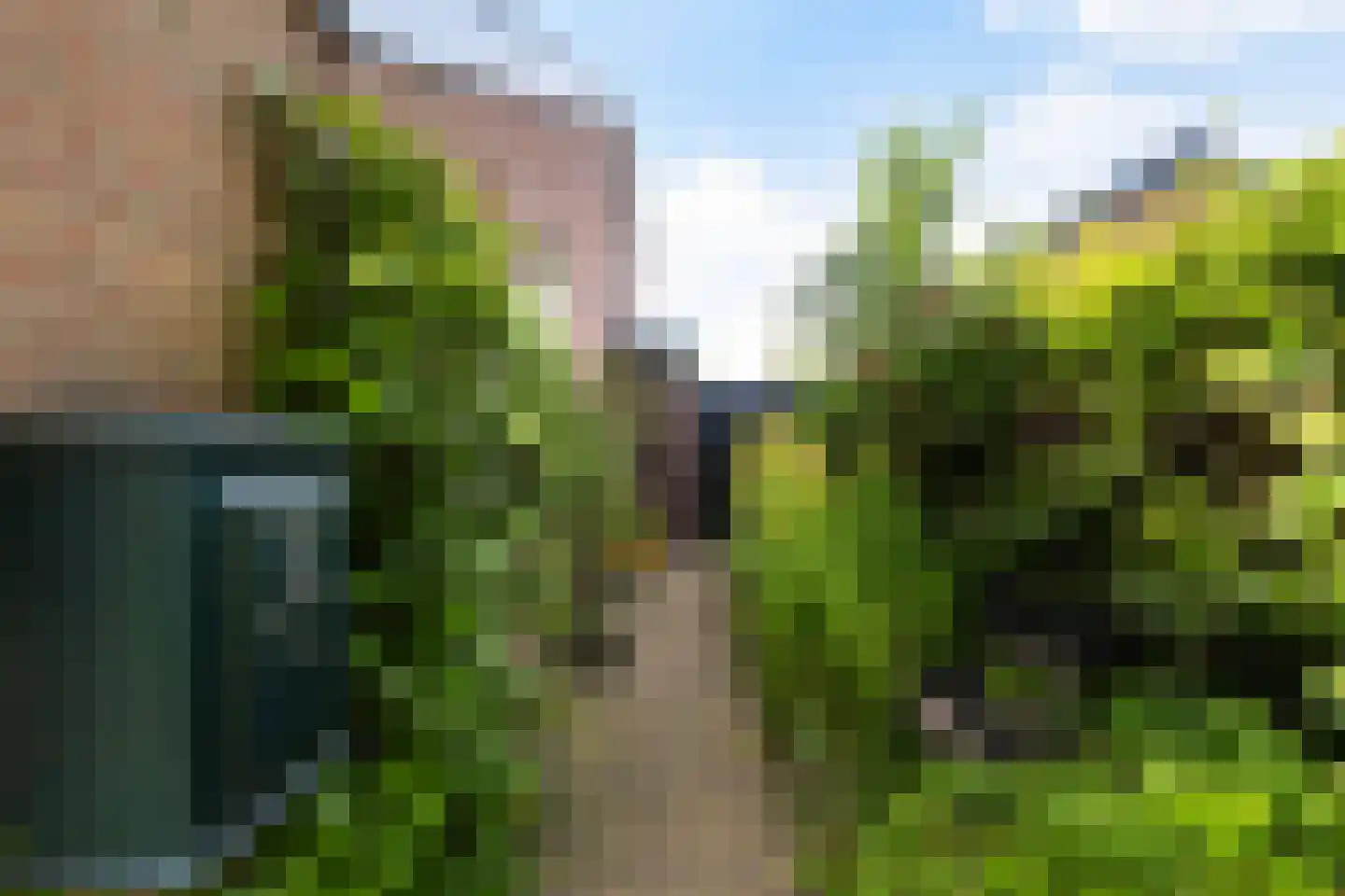 Hofwegen 19 Oentsjerk thumbnail 20