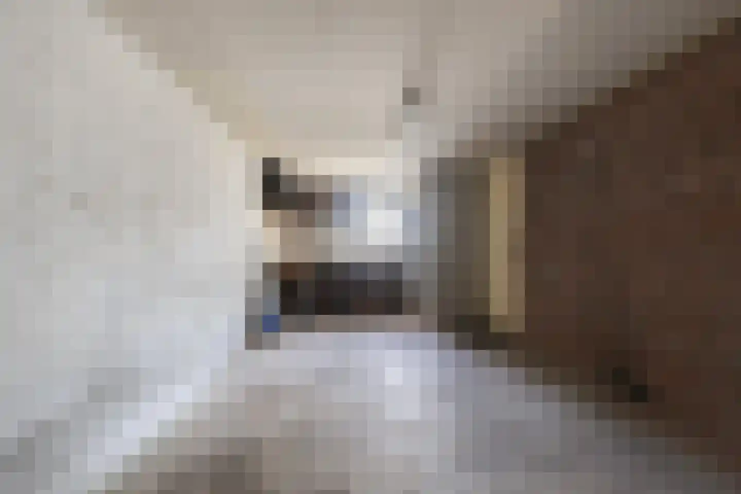 Hofwegen 19 Oentsjerk thumbnail 33
